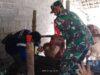 Cegah Penyebaran PMK, Babinsa Koramil Sukorejo Dampingi Vaksinasi Hewan Ternak Di Wilayah Binaannya