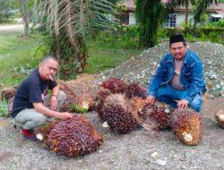 IMG-20230123-WA0089