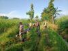 Babinsa Desa Kalangketi, Koramil 09 Sukomoro Menjadi Contoh Dan Penyemangat Kerja Bakti Bersama Warga
