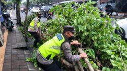 Cepat Tanggap Laporan Masyarakat, Sat Samapta Polres Badung Potong Pohon Tumbang