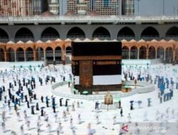 image (4)