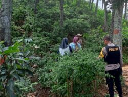 513bf165-2d4e-4521-8f96-f20b7359c795