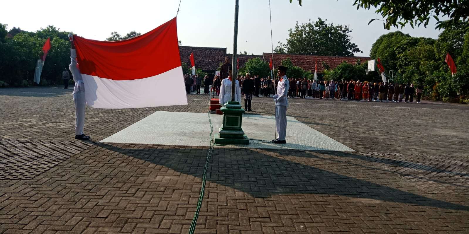 WhatsApp Image 2023-06-01 at 09.36.30