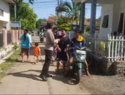 WhatsApp Image 2023-06-10 at 16.07.13