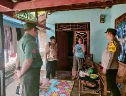 WhatsApp Image 2023-06-10 at 16.10.11