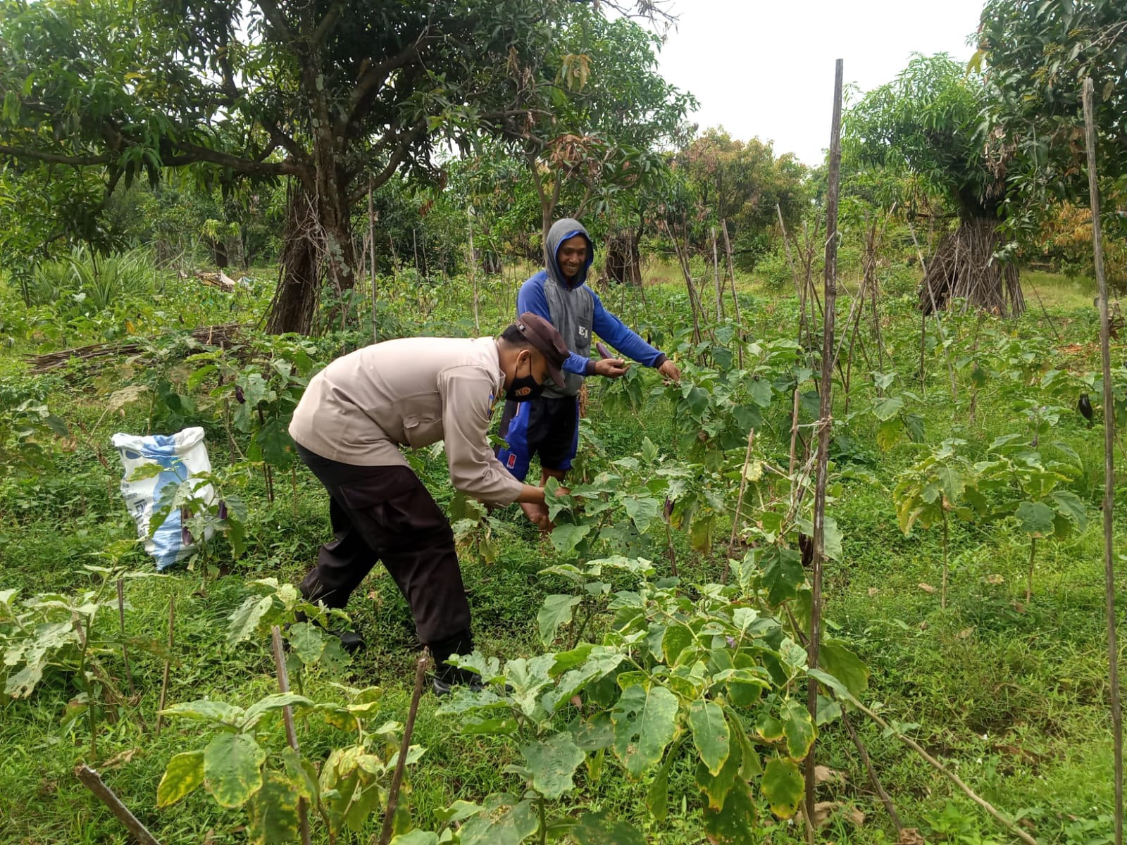 WhatsApp Image 2023-06-19 at 17.22.41