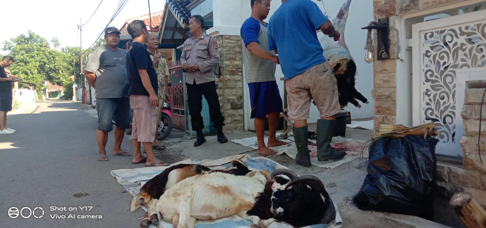 d39a858f-0d9b-4b15-9b1d-a66e30c5b1b1