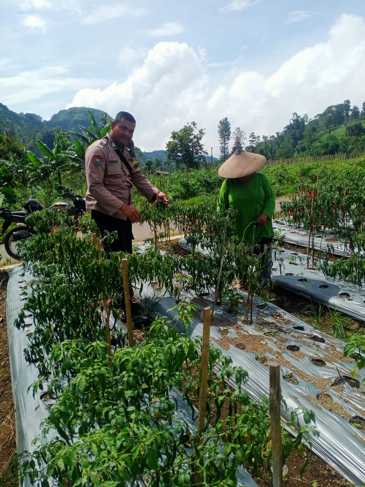 f2991f87-a3fb-4574-89bc-26f3596f4c20