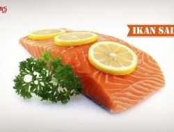 manfaatikansalmon_840x576