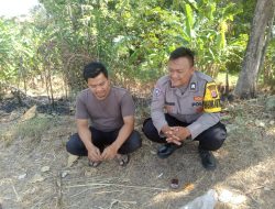 048fe292-4e3a-4e99-abb1-4c10e3573c9d