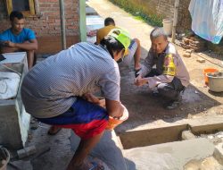 52187c10-4b2a-47ba-a066-4be69868fae1