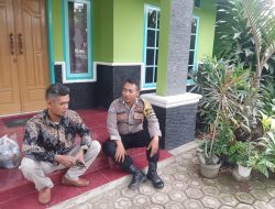 6e742f7e-bf03-4ac7-9d62-afdb63ea0287