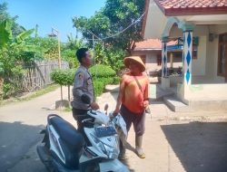 877efe10-f622-4228-820e-894b42d81a4c