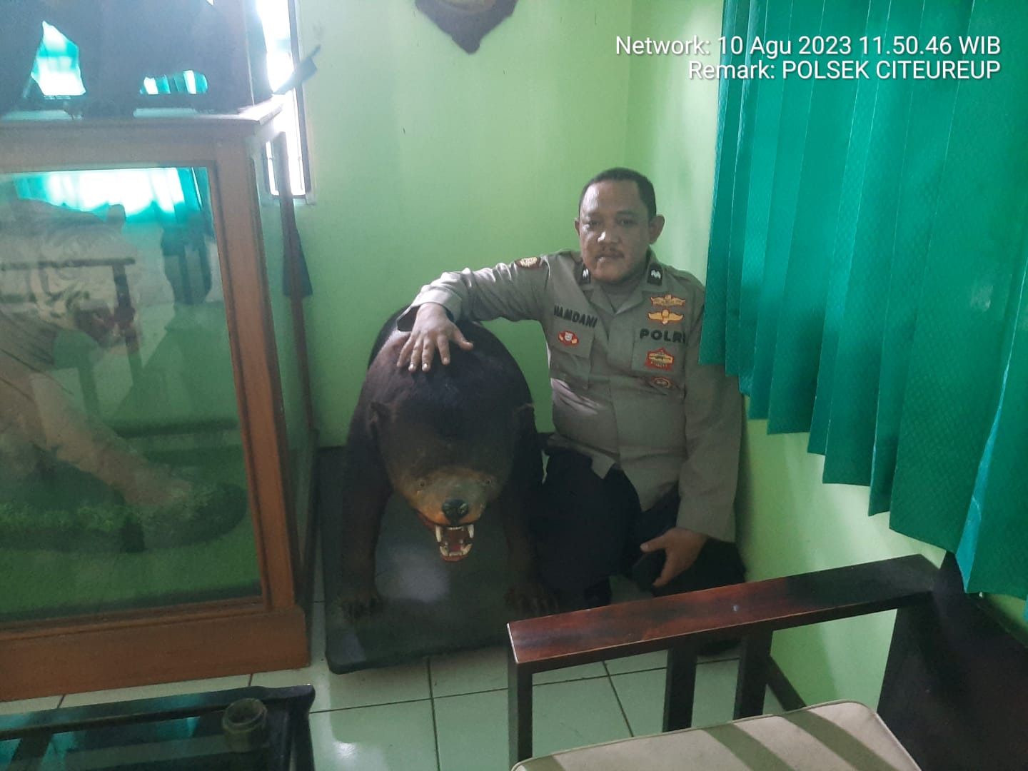 WhatsApp Image 2023-08-11 at 16.53.08