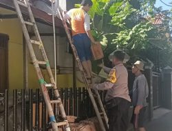 WhatsApp Image 2023-08-12 at 09.01.02 (1)
