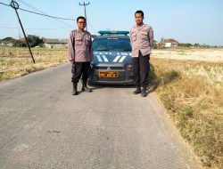 WhatsApp Image 2023-08-15 at 19.32.50