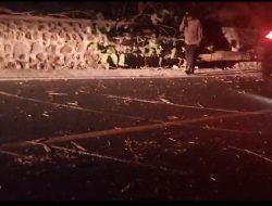 4fcd8925-b9a8-4f5c-8124-5e105a7c8044