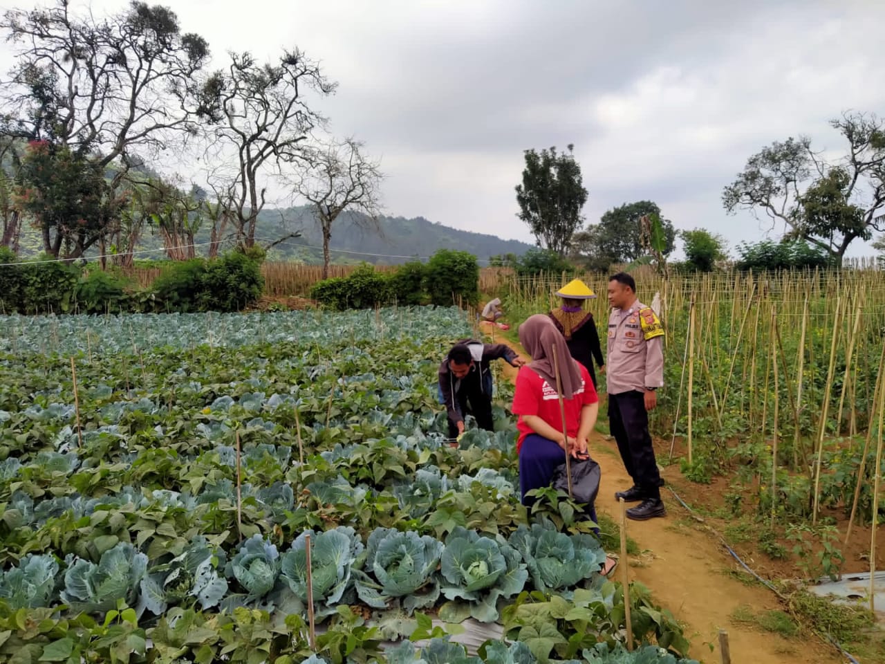 a71a39a9-3691-4139-8d88-4dbb2ed21c0e