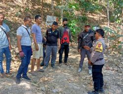 c41ed2f3-2e70-4a31-91e0-c4f98e0bba6f