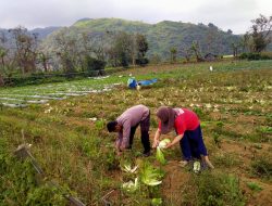 ec40b918-650b-4db1-a996-726457a221de