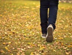 image - 2023-09-24T113453.261