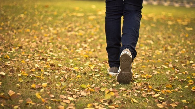 image - 2023-09-24T113453.261