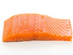 salmon