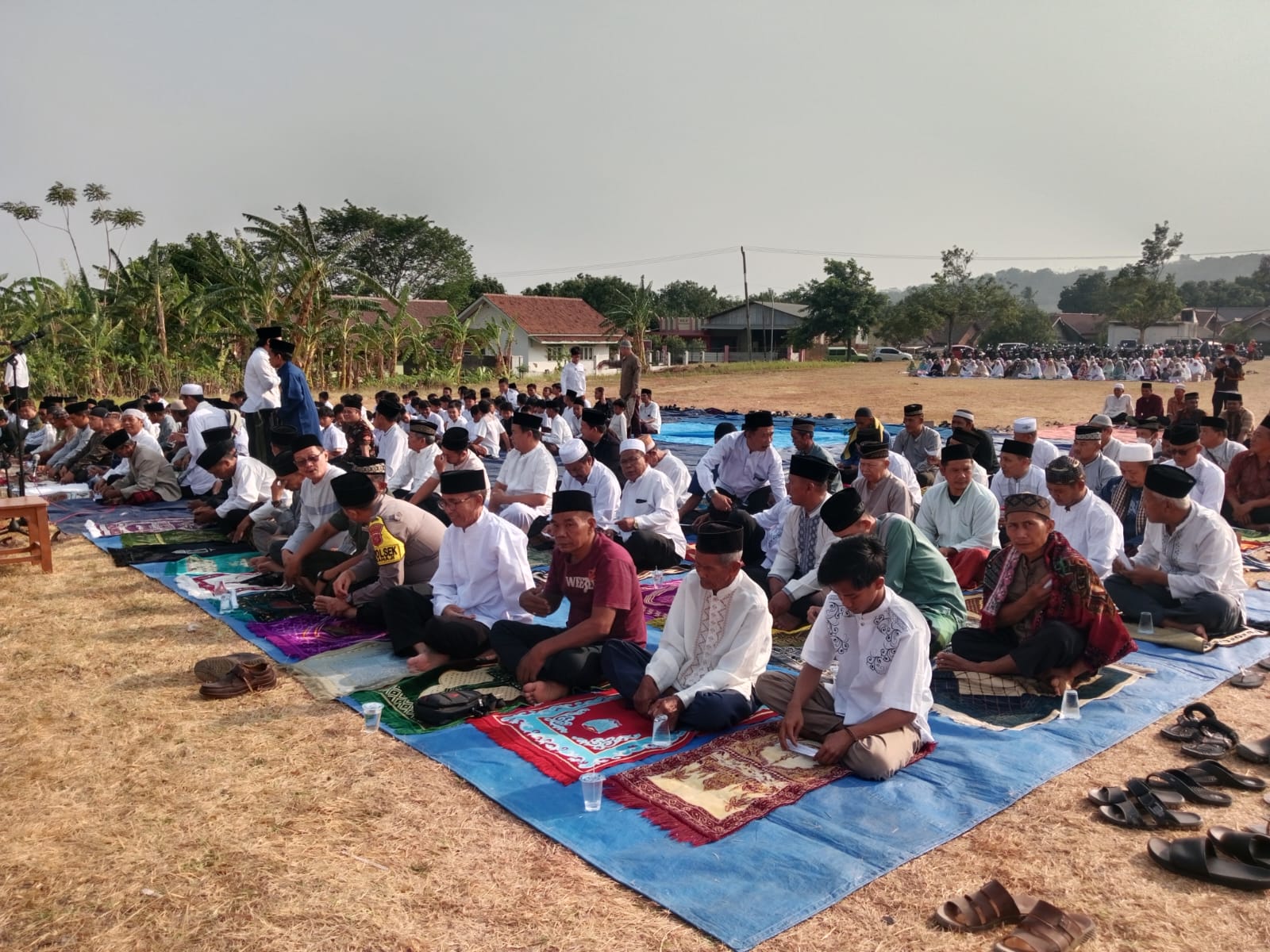 d1f66616-29c9-4cb1-9514-f5357e27904d