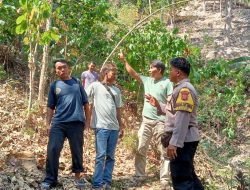 efd831bc-d3cf-4315-9ce2-a9127792b514