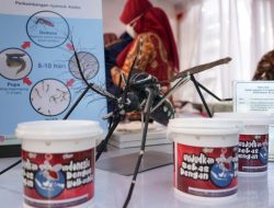 6dcbcf9a-7fd3-4691-b422-762e1b79d846-750x536