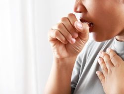 IMG-20231128-WA0010-750x536