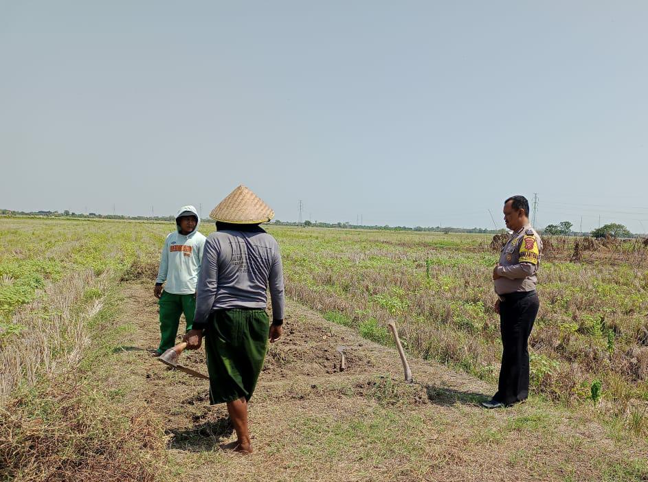 WhatsApp Image 2023-11-21 at 06.59.54_453e72fc