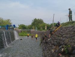 WhatsApp Image 2023-12-06 at 11.27.44