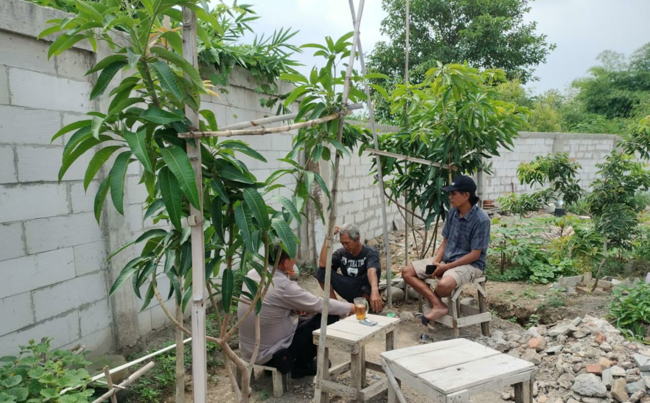 WhatsApp Image 2023-12-19 at 08.39.47_73c64794