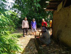 cea2bce3-2c5f-4561-97eb-7a8a8eae8c77