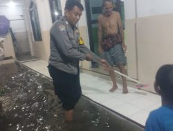 WhatsApp Image 2024-02-02 at 09.33.49