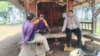 Cikedung