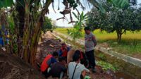 Cikedung