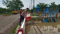 Cikedung