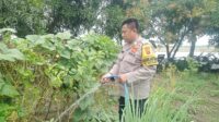 Kedokanbunder