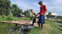 Sindang
