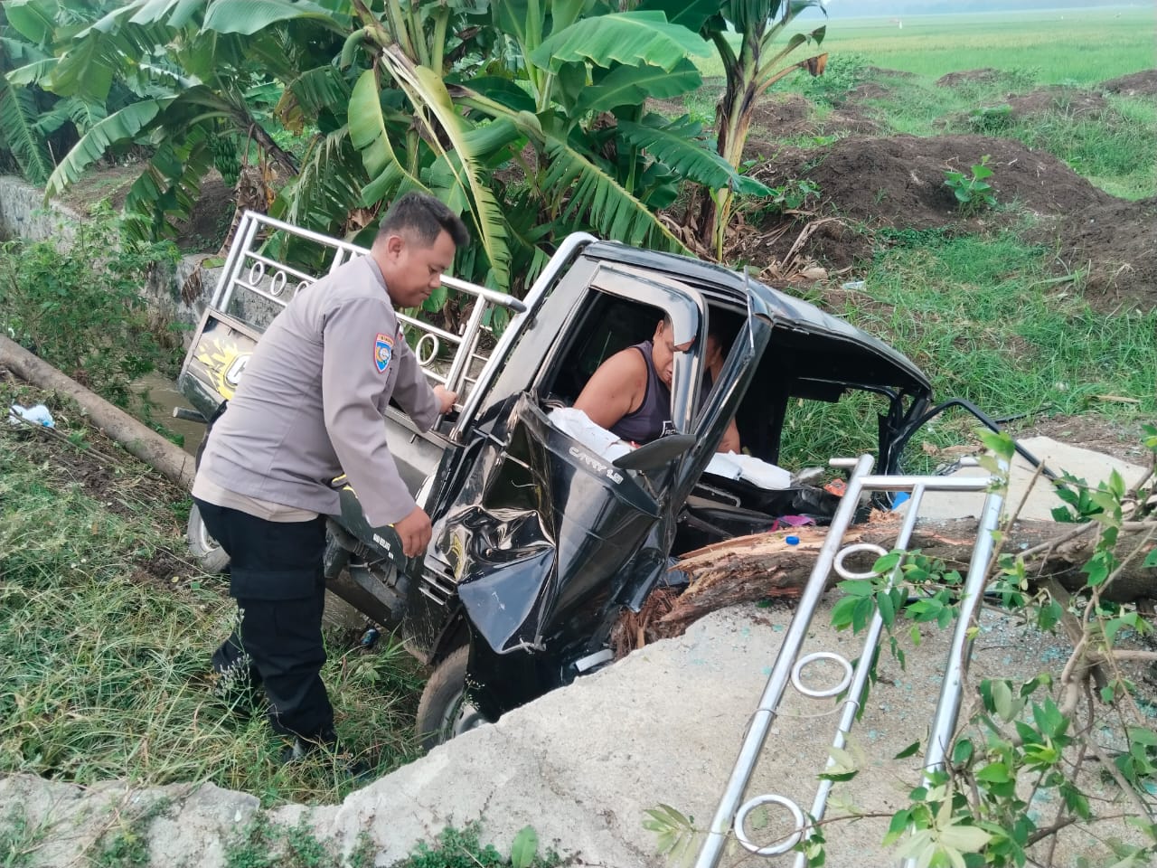 WhatsApp Image 2024-04-09 at 08.57.15