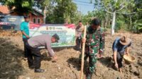 Balongan