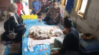 Kandanghaur