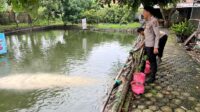 Krangkeng (1)