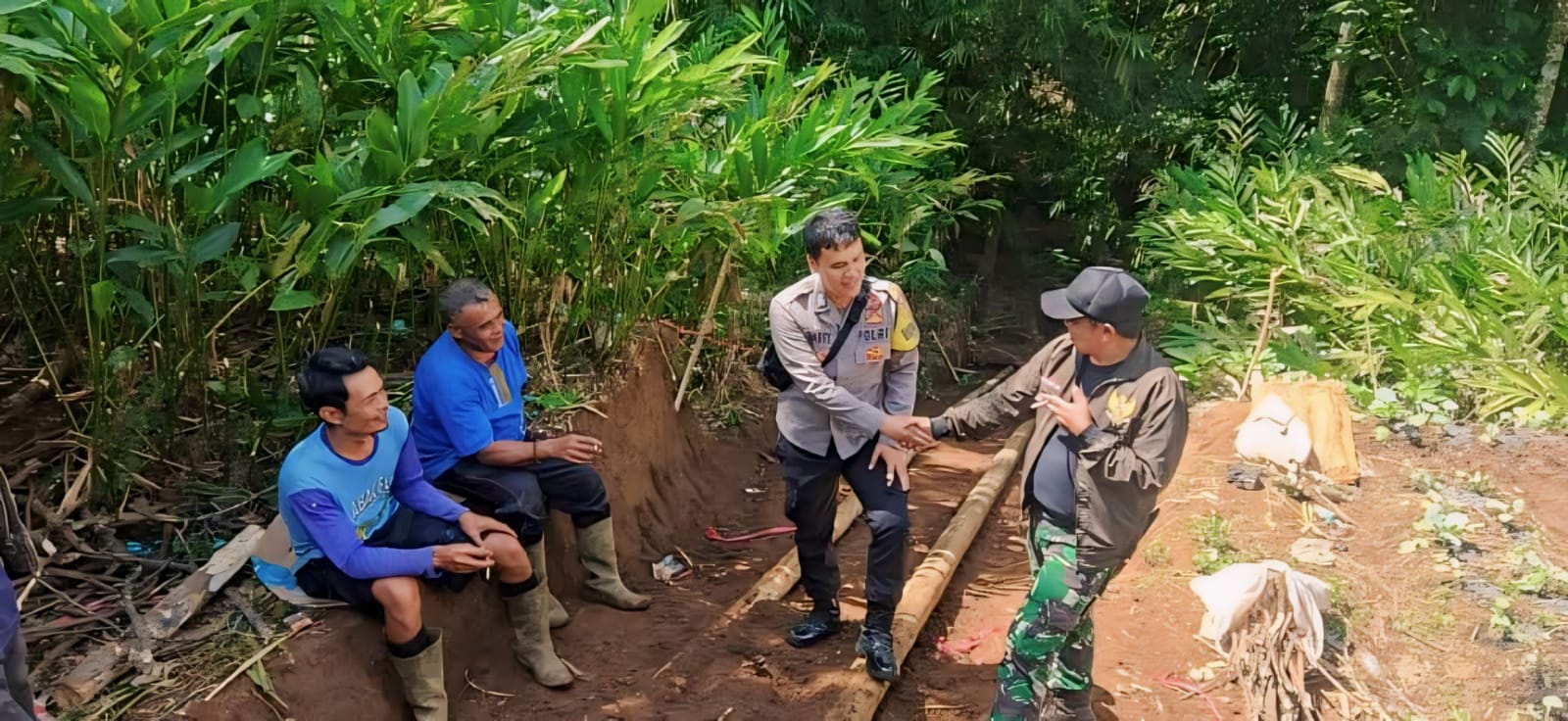 3e98d10b-c5dd-47e0-a898-07d73b7cf0ca