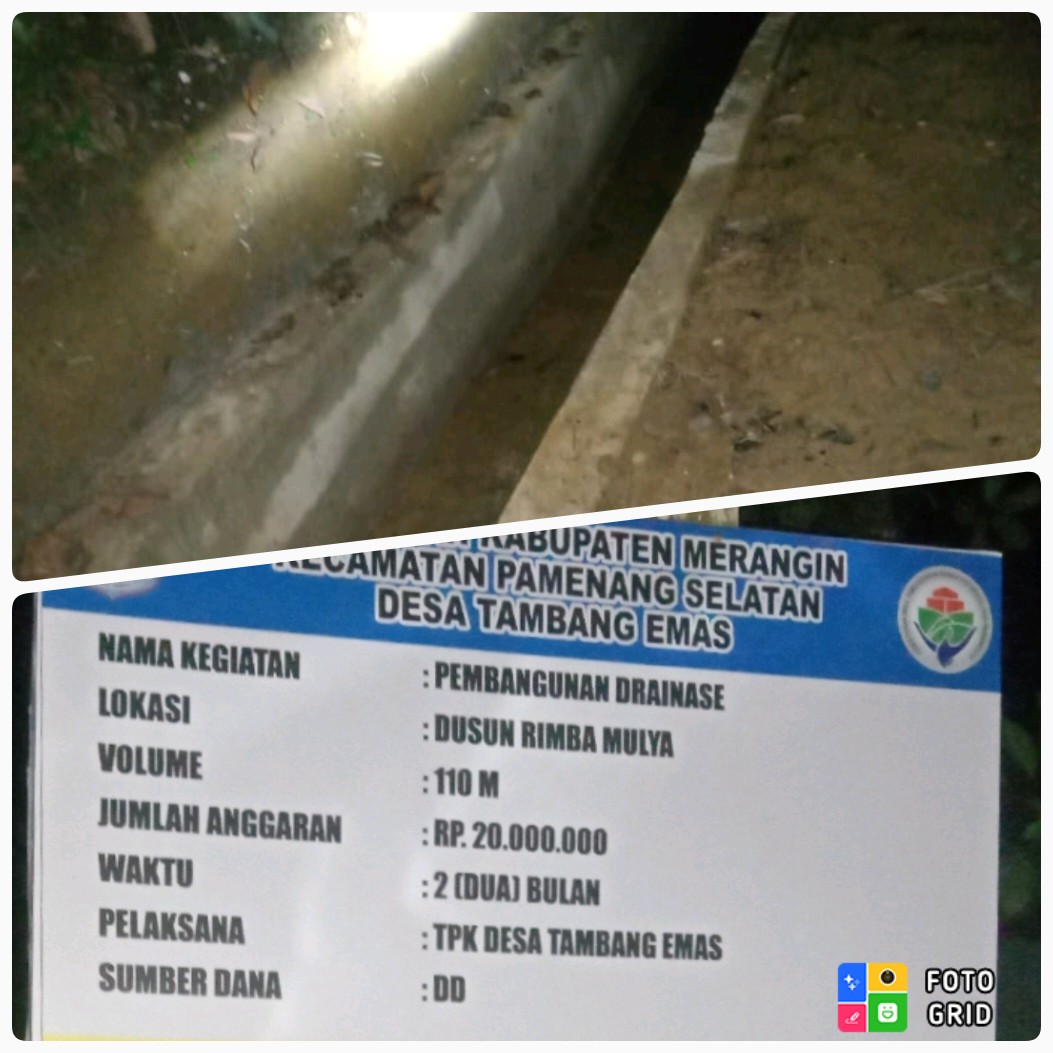 PhotoGrid_1_20240612092045