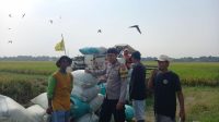 WhatsApp Image 2024-06-04 at 09.00.35