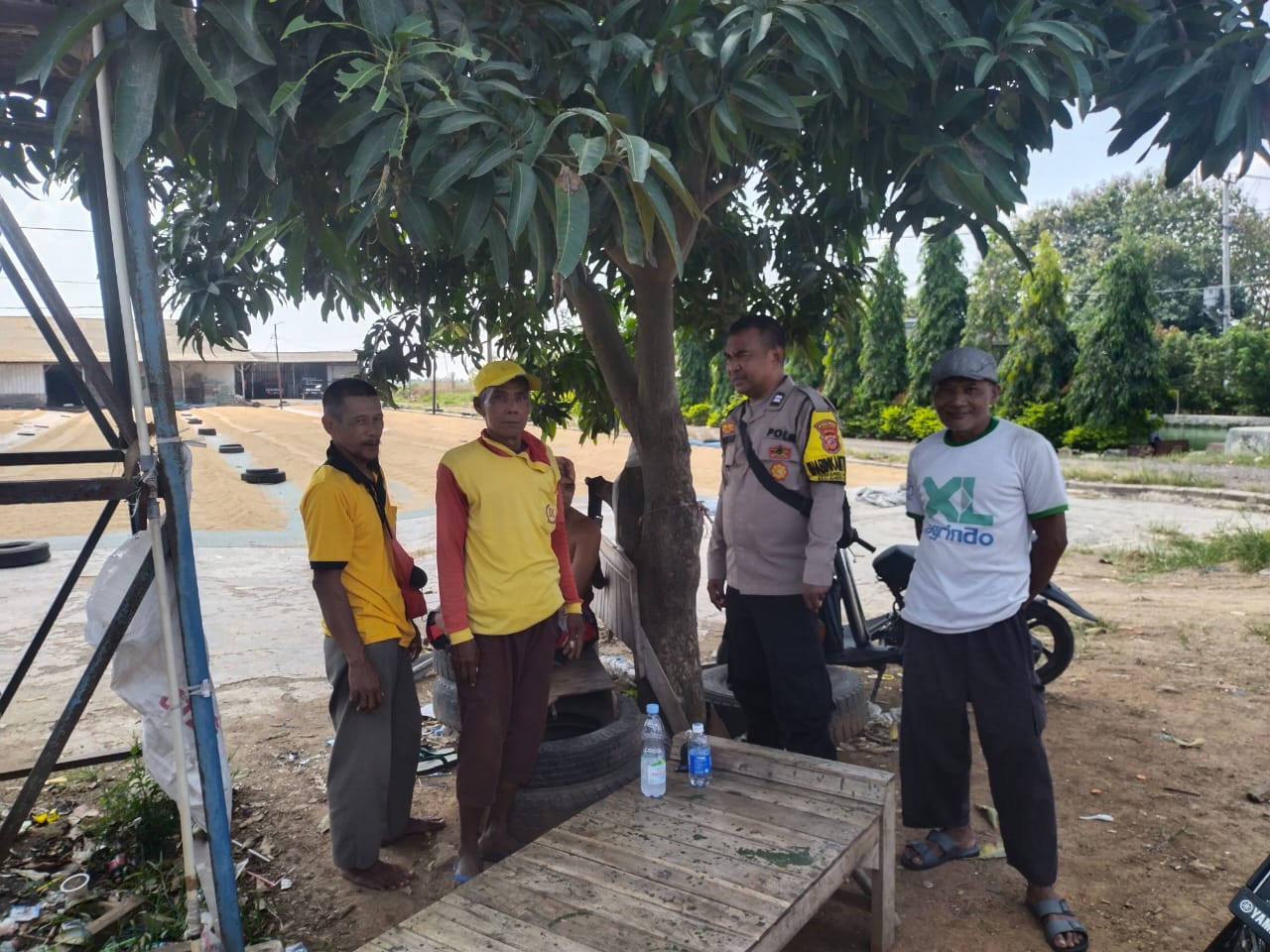 WhatsApp Image 2024-06-06 at 11.22.33