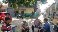 WhatsApp Image 2024-06-12 at 13.18.47